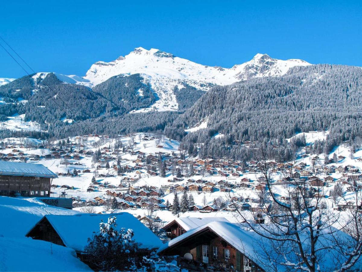 Apartment Chalet Butz By Interhome Grindelwald Bagian luar foto